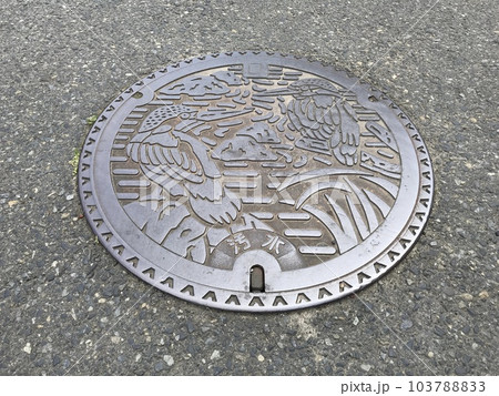 日野市の市鳥かわせみがデザインされた汚水管マンホールの蓋 日野市の市鳥かわせみがデザインされた汚水管マンホールの蓋 103788833