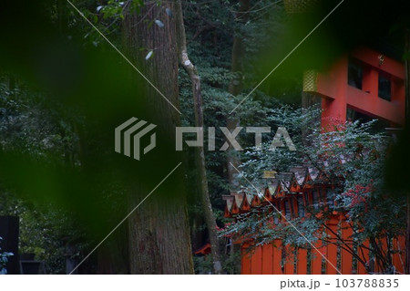 三重  椿大神社  天鈿女命 103788835