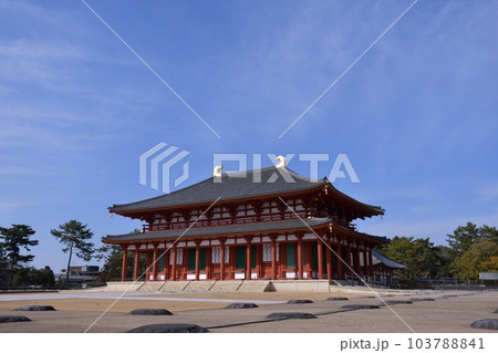 奈良  興福寺  中金堂 103788841