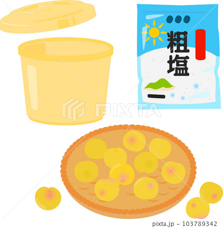 梅の実と粗塩と保存容器、梅干し作り 103789342