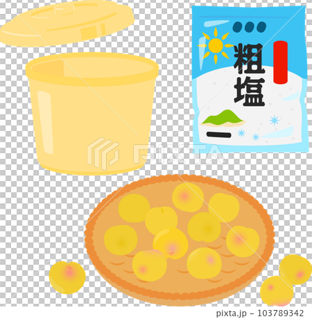 梅の実と粗塩と保存容器、梅干し作り 103789342