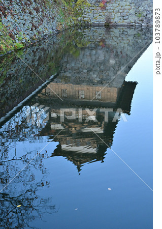 水鏡に映った高島城 103789873