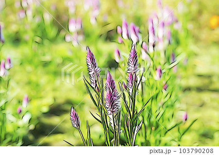 パステル調　”満開のノゲイトウ：野鶏頭”　イラストイメージ 103790208