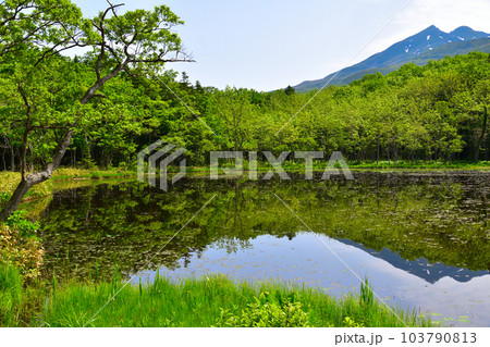 知床五湖　五湖 103790813