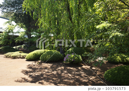 川越小江戸 103791573