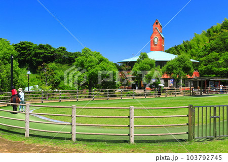 【愛媛県】快晴の野間馬ハイランドの乗馬場 103792745