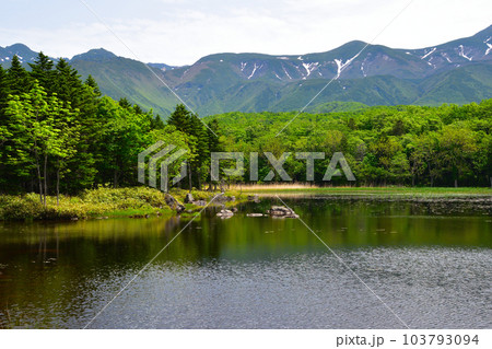 知床五湖　二湖 103793094