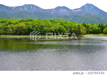知床五湖　二湖 103793310