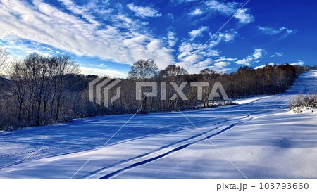 リフトから見たかぐらスキー場のゲレンデ リフトから見たかぐらスキー場のゲレンデ 103793660