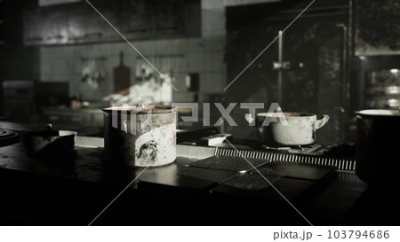 old kitchen of abandoned house old kitchen of abandoned house 103794686