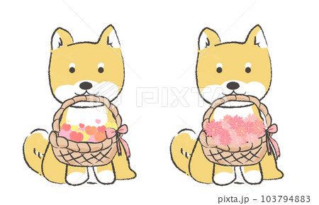 手書き風のシンプルなかわいい柴犬のイラスト ハートのかご 花が入ったかごをくわえる 手書き風のシンプルなかわいい柴犬のイラスト ハートのかご 花が入ったかごをくわえる 103794883
