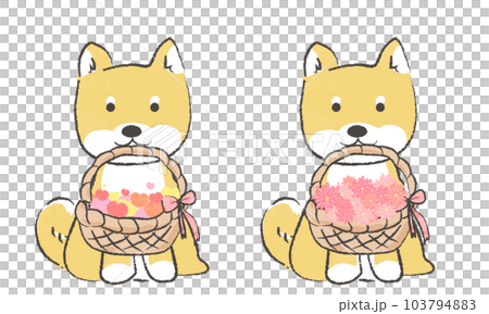 手書き風のシンプルなかわいい柴犬のイラスト ハートのかご 花が入ったかごをくわえる 手書き風のシンプルなかわいい柴犬のイラスト ハートのかご 花が入ったかごをくわえる 103794883