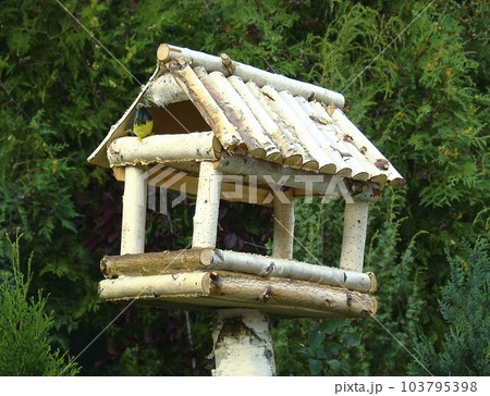 Bird feeders Bird feeders 103795398