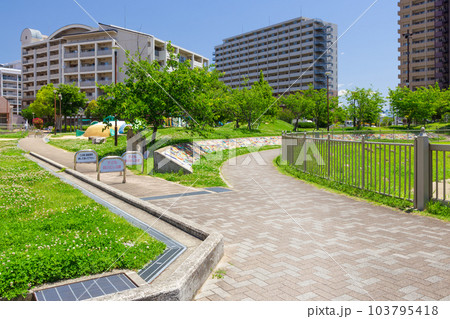 HAT神戸・夢公園の初夏の風景 神戸市中央区にて HAT神戸・夢公園の初夏の風景 神戸市中央区にて 103795418