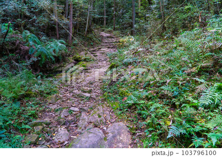 熊山　登山道の石畳　岡山県赤磐市 103796100