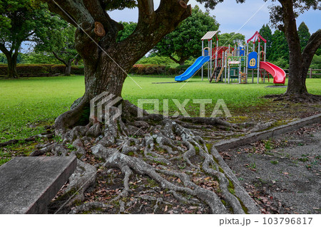 清水ヶ丘公園（鹿児島県薩摩川内市宮里町）　遊具 103796817