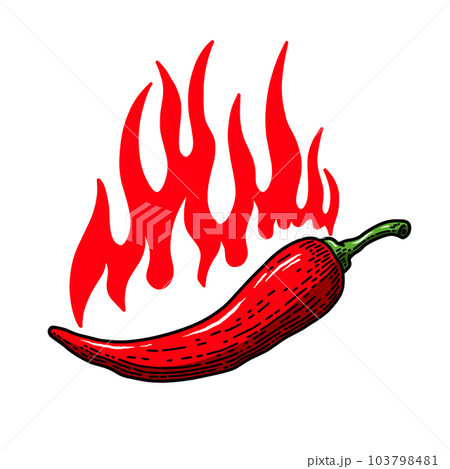 Set of illustrations of chilli peppers with flame of fire in engraving style. Design element for emblem, sign, poster, card, banner, flyer. Vector illustration 103798481