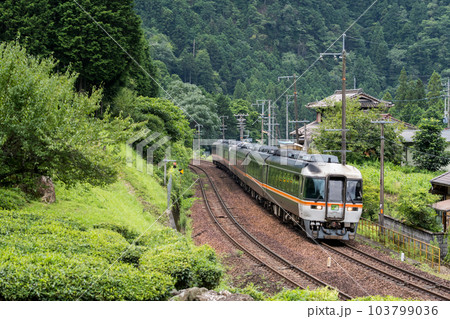 【高山本線】鷲原信号所を通過する特急ひだ 103799036