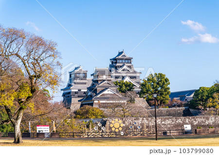 紅葉に映える二の丸広場から観える熊本城(天守閣・宇土櫓)風景「秋晴れの季節に撮影」 紅葉に映える二の丸広場から観える熊本城(天守閣・宇土櫓)風景「秋晴れの季節に撮影」 103799080