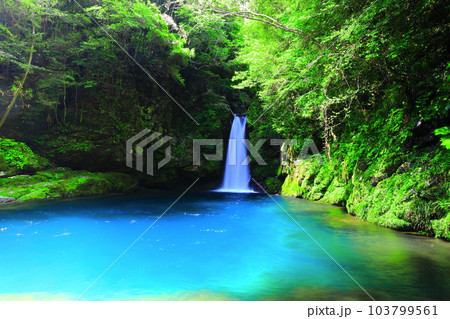 【高知県】にこ淵の仁淀ブルー 103799561