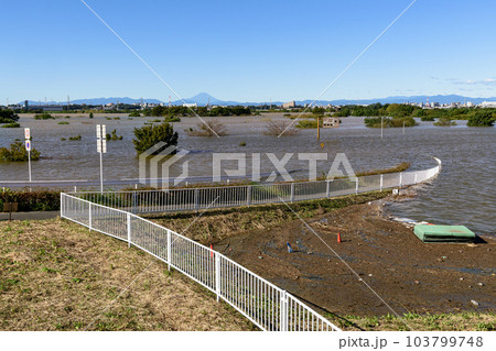 令和元年東日本台風・治水効果を発揮し水没した彩湖道満グリーンパーク 令和元年東日本台風・治水効果を発揮し水没した彩湖道満グリーンパーク 103799748