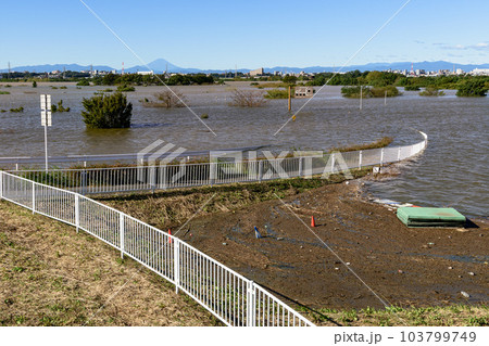 令和元年東日本台風・治水効果を発揮し水没した彩湖道満グリーンパーク 103799749