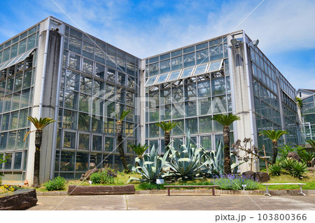市川市観賞植物園(千葉県市川市) 市川市観賞植物園(千葉県市川市) 103800366