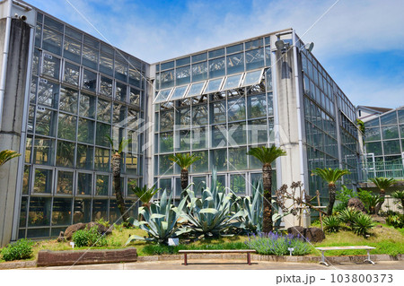市川市観賞植物園（千葉県市川市） 103800373
