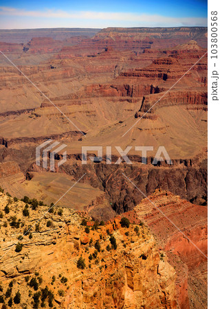 Grand Canyon Arizona 103800568