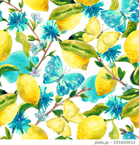 Botanical seamless pattern. Background with beautiful watercolor lemons butterfly and branches. Natural hand drawn illustration. Texture for print, textile, cards, cosmetics, packing and tea. Botanical seamless pattern. Background with beautiful watercolor lemons butterfly and branches. Natural hand drawn illustration. Texture for print, textile, cards, cosmetics, packing and tea. 103800652