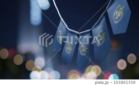 A garland of World Health Organization WHO national flags on an abstract blurred background A garland of World Health Organization WHO national flags on an abstract blurred background 103801330