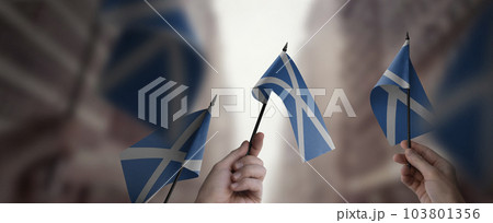 A group of people holding small flags of the Scotland in their hands 103801356