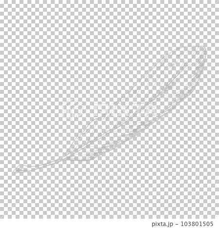 鳥羽一根（單品）/銀箔線描 103801505