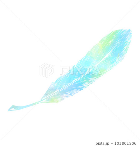 一枚の鳥の羽根（単品）／水彩風のイラスト素材 [103801506] - PIXTA
