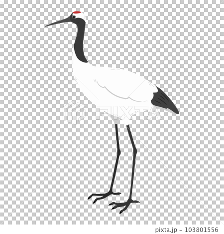 Hand-drawn illustration of a simple and cute crane No main line 103801556