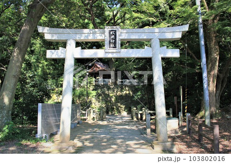 枚岡神社 103802016