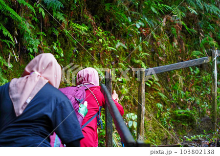 Climbing Mount Kinabalu Climbing Mount Kinabalu 103802138