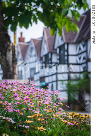 春の花が咲く観光地の風景 103802188