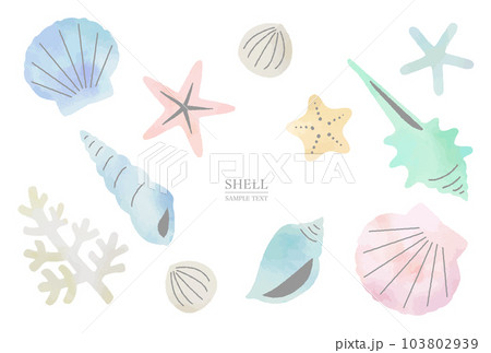 いろいろな貝殻の水彩風イラスト素材セット いろいろな貝殻の水彩風イラスト素材セット 103802939