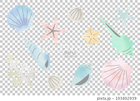 いろいろな貝殻の水彩風イラスト素材セット いろいろな貝殻の水彩風イラスト素材セット 103802939
