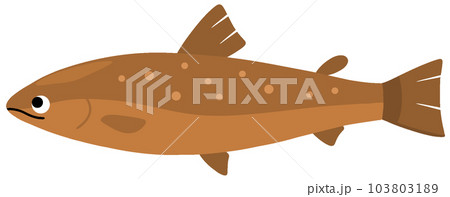 タキタロウ 103803189