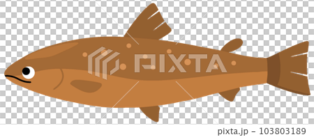 タキタロウ 103803189