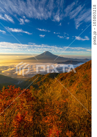 新道峠　雲海　紅葉　富士山　FUJIYAMAツインテラス　【山梨県笛吹市】　 103803218