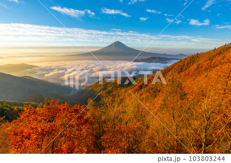 新道峠 雲海 紅葉 富士山 FUJIYAMAツインテラス 【山梨県笛吹市】 新道峠 雲海 紅葉 富士山 FUJIYAMAツインテラス 【山梨県笛吹市】 103803244