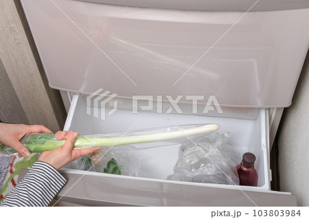 【野菜室から長ネギを出す主婦】 【野菜室から長ネギを出す主婦】 103803984
