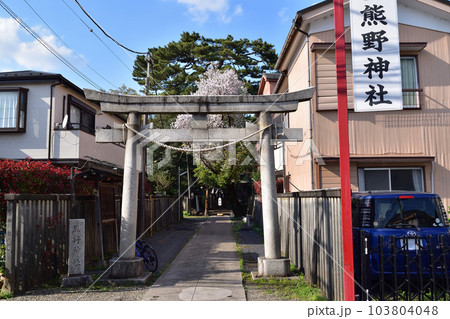杉並・尾崎熊野神社 103804048