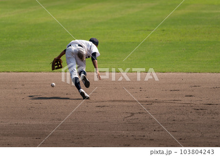 内野ゴロを弾く内野手 内野ゴロを弾く内野手 103804243