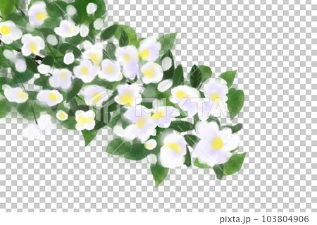 梅花空木（バイカウツギ）の花のカード3 103804906