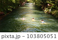 夏の河川で遊泳する人達 103805051