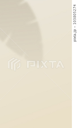 Tropical palm leaf shadow. Soft color background Tropical palm leaf shadow. Soft color background 103805274